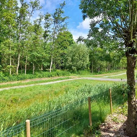 Vila Wellnesshuis Met Hottub, Ligbad En Grote Tuin Tzummarum Exteriér fotografie